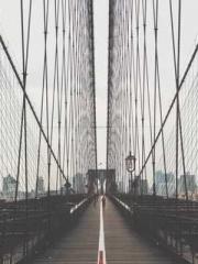 King of Nine Profoun