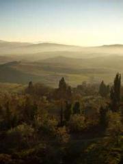 Mr. Gu, your wife is