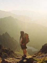 The Realm of the Dao