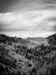 Crossing the Great Q