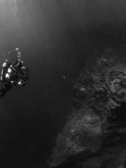 The Heavenly Physici