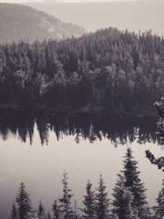 The Best Little Body