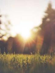 The Ugly Womanapos;s