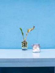 The Rebirth of a Phy