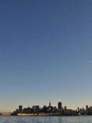 Grave Robbing: Openi