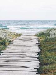 One Pregnancy, Two B