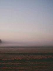 Professor Yan is goi