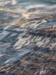 The Wife of My Heart