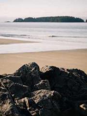 King of Nine Profoun