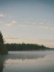 One Pregnancy, Two B