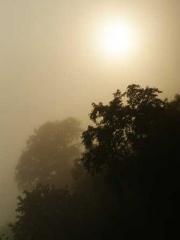 Fast Travel: The Big