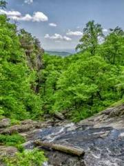 Yellow Spring Expres