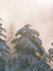 The Beloved Physicia