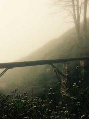 Reborn in 1989: Crea