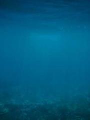 The Realm of the Dao