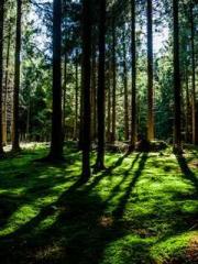 A Second Marriage Mo