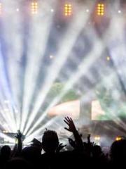 lt;Marry at first si