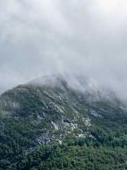 lt;lt;The Trash Husb