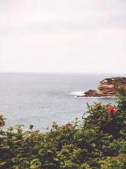 Rebirth of the Urban