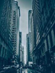 The wife wishes to b