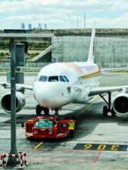 Transmigration: Feel