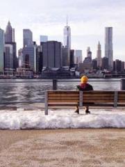 The Legend of the Dr