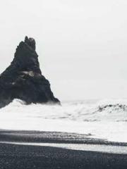 Two Treasures Arrive